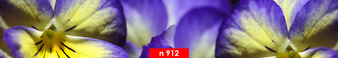 n 912